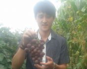 为了坛币我也醉了