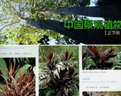 中国景观植物（上册 下册 扫描版）