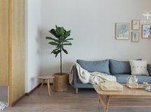 《林间葵》140平米新鸿基悦城 | 刘晶晶