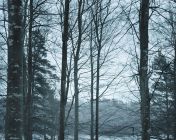 Vipp公司的即插即用式组合度假屋Vipp seeks shelter