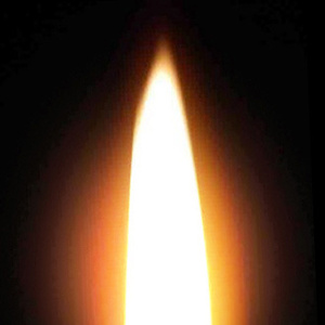 09