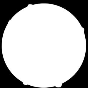 25